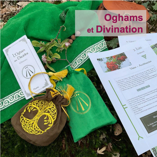 Oghams et divination
