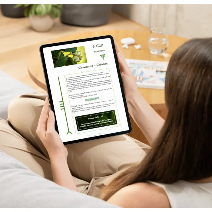 L’Ogham des Druides – Guide d’interprétation des 20 Oghams NAMO ART - Mona Bessaa