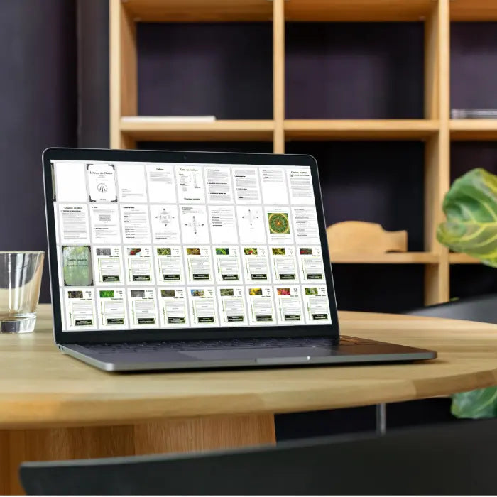 L’Ogham des Druides – Guide d’interprétation des 20 Oghams NAMO ART - Mona Bessaa