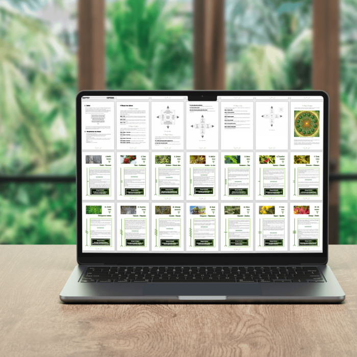 L’Ogham des Druides – Guide d’interprétation des 20 Oghams NAMO ART - Mona Bessaa