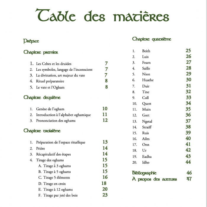 L’Ogham des Druides – Guide d’interprétation des 20 Oghams NAMO ART - Mona Bessaa