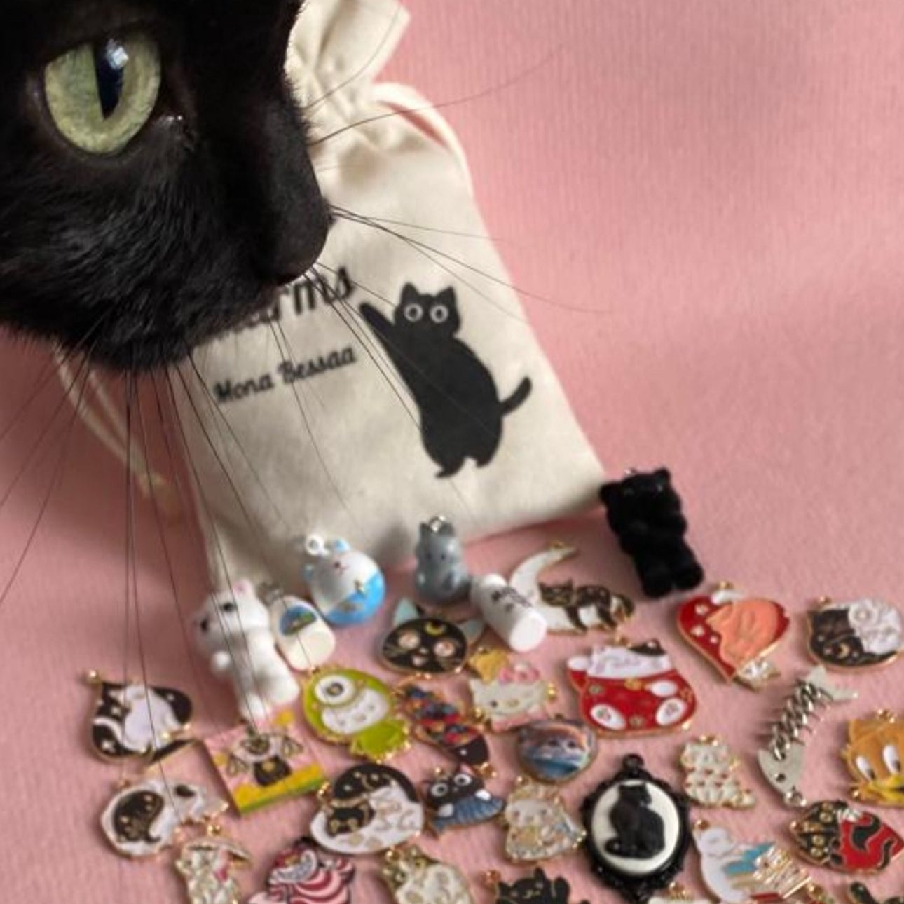 Cats Charms : 60 breloques enchantées pour les passionnnés de chats