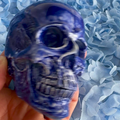 Skull